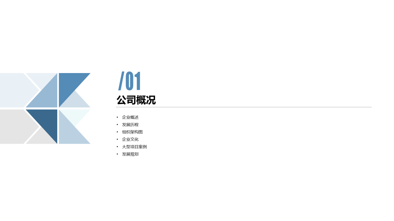 白色简约网络科技有限公司PPT案例