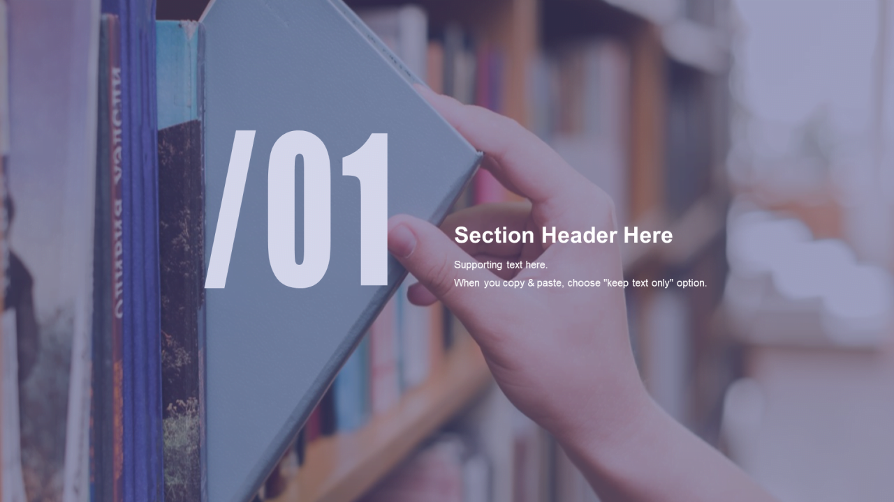 多色商务工作总结市场营销PPT案例