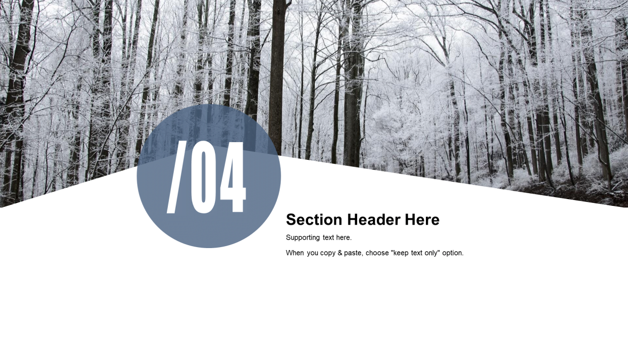 灰色创意公益环保商业计划书PPT案例