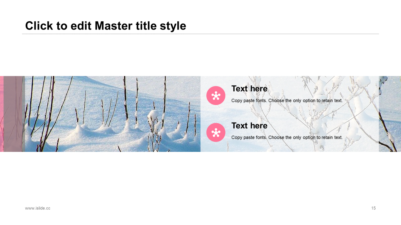 多色创意植物花卉市场营销PPT案例