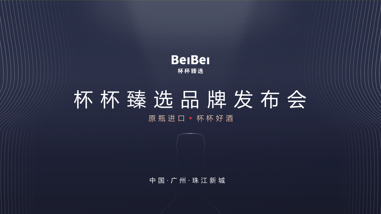 黑色商务发布会工作总结