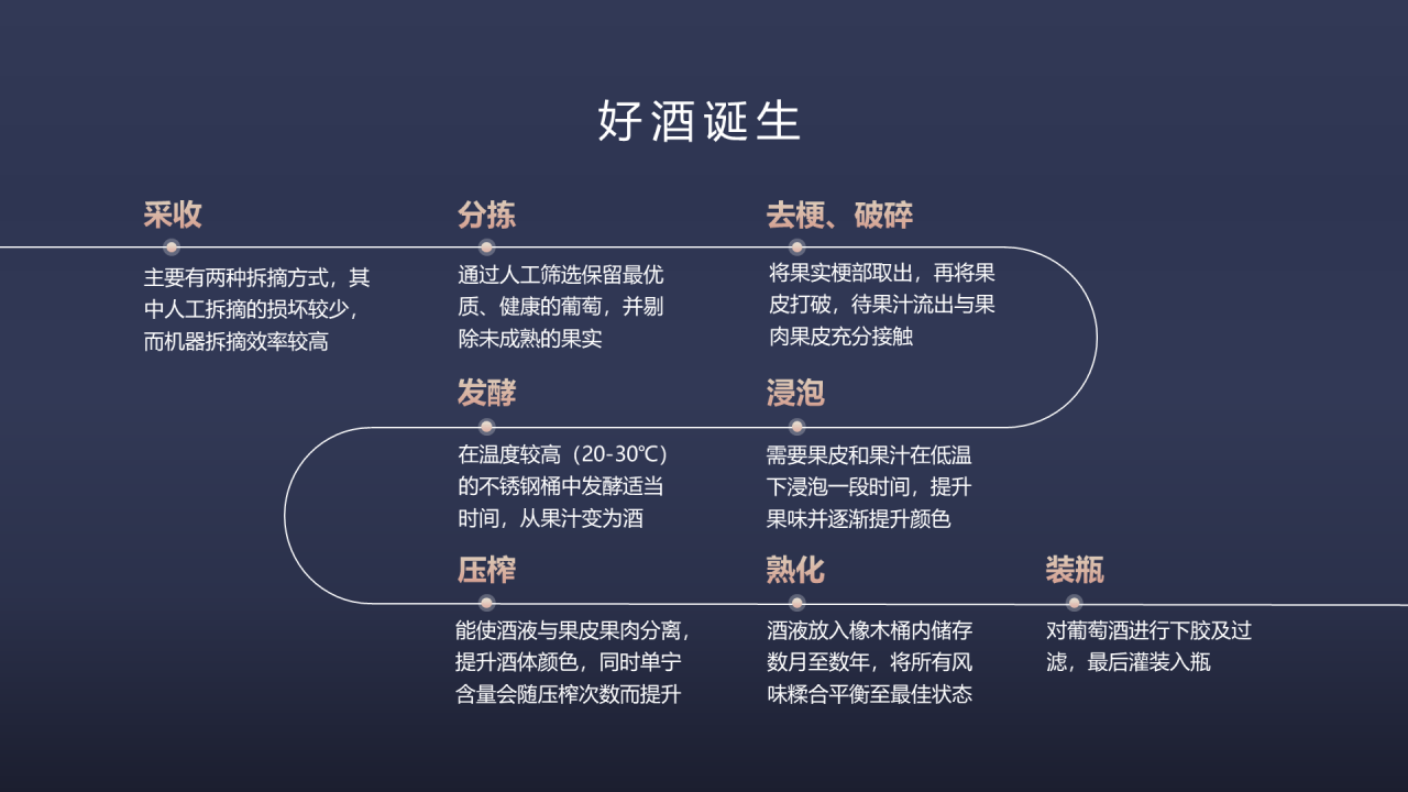 黑色商务发布会工作总结