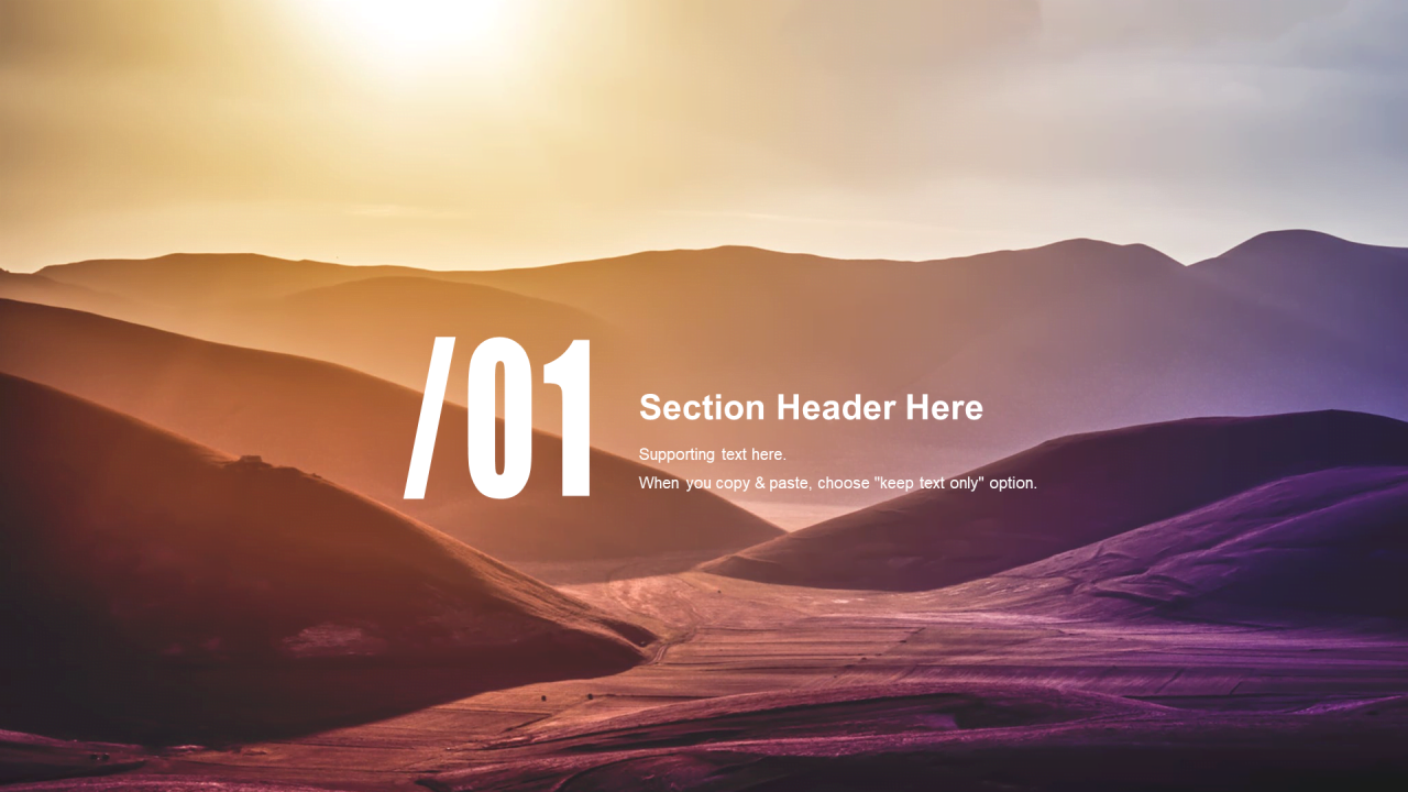 棕色创意商务旅游旅行工作总结PPT案例