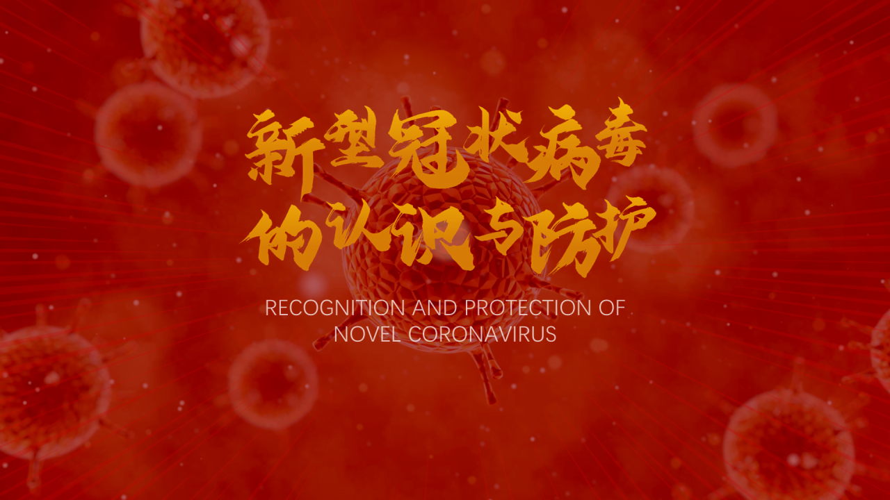 红色创意新型冠状病毒的认识与防护PPT案例
