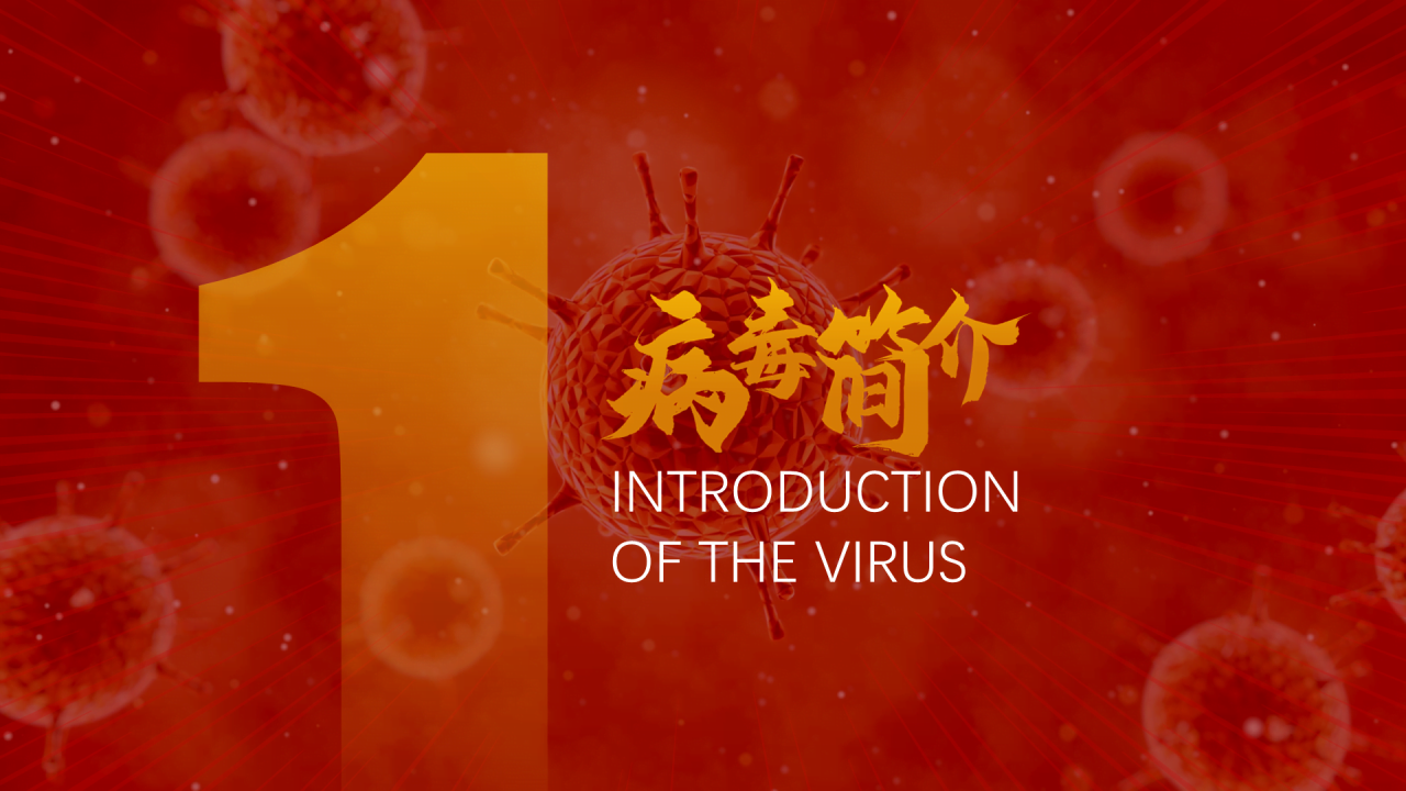 红色创意新型冠状病毒的认识与防护PPT案例