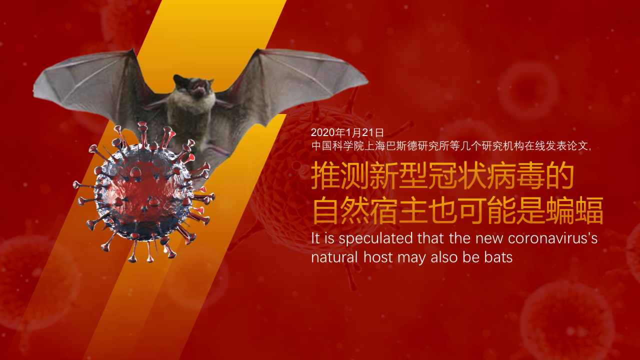 红色创意新型冠状病毒的认识与防护PPT案例