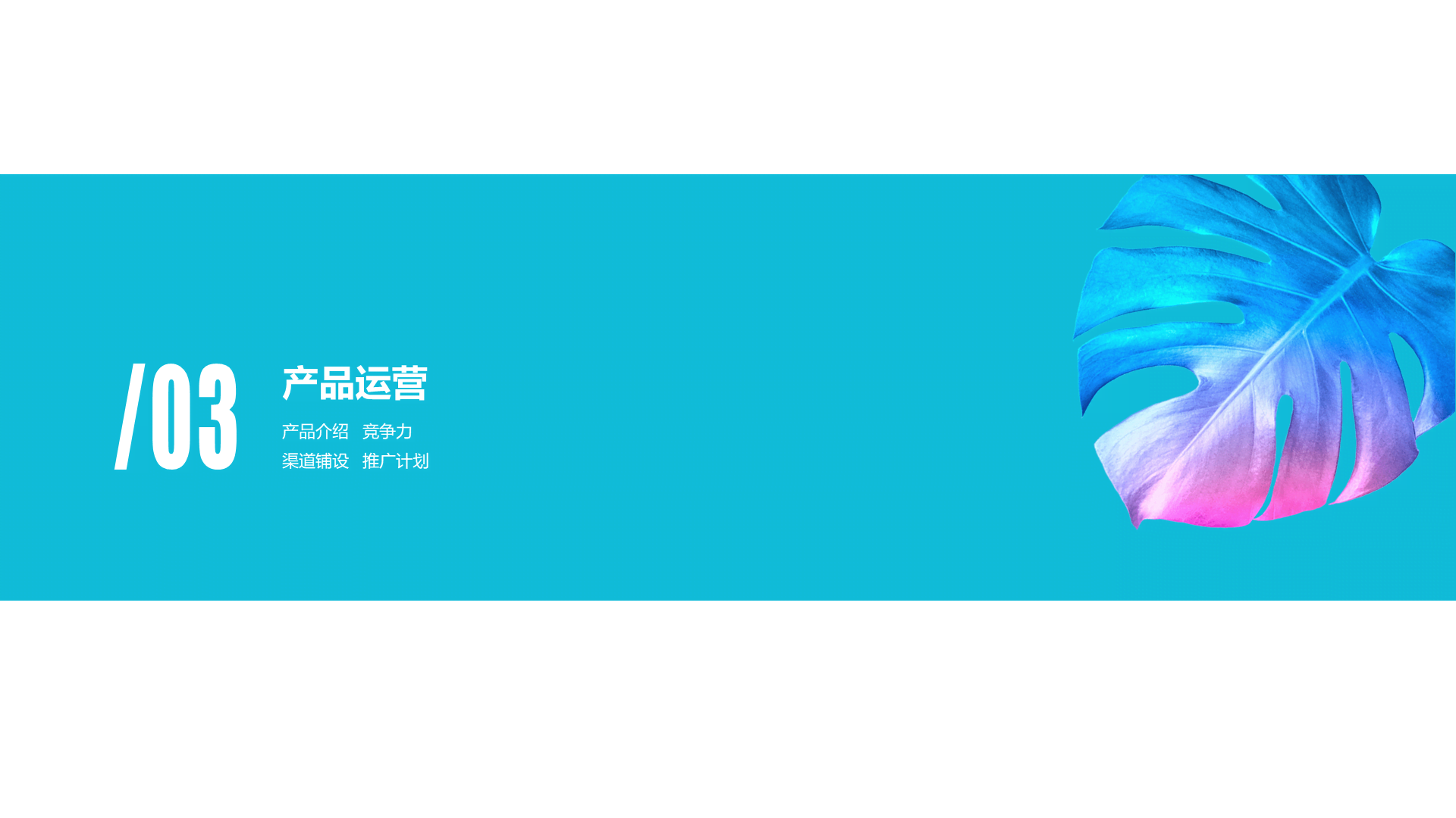 Blue creative work summary PPT case