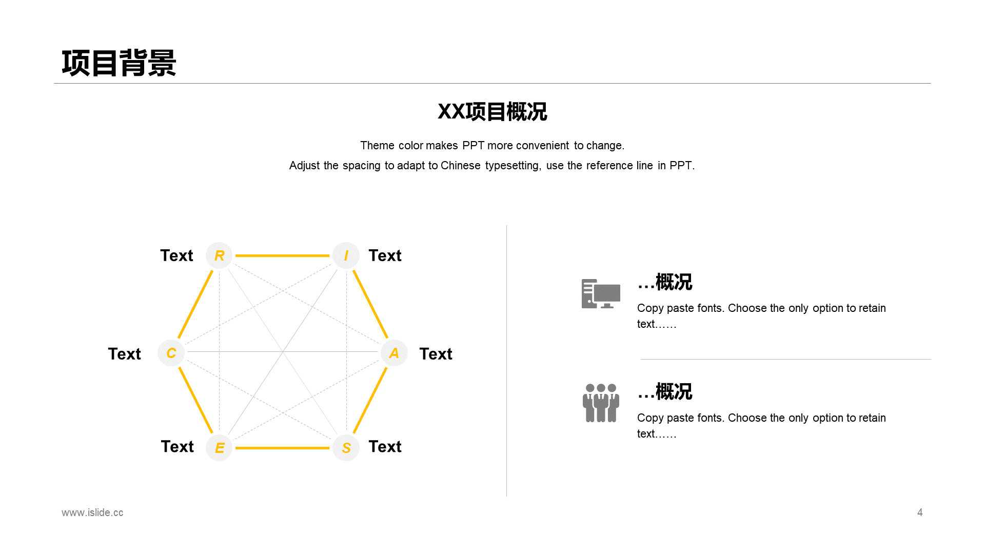 多色公司项目总结报告PPT案例