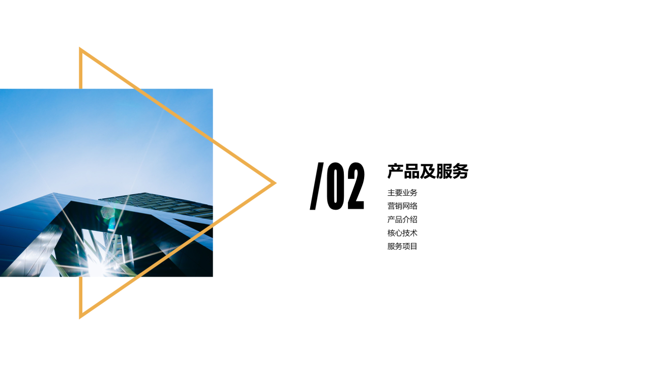 蓝色商务网络有限责任公司简介PPT案例