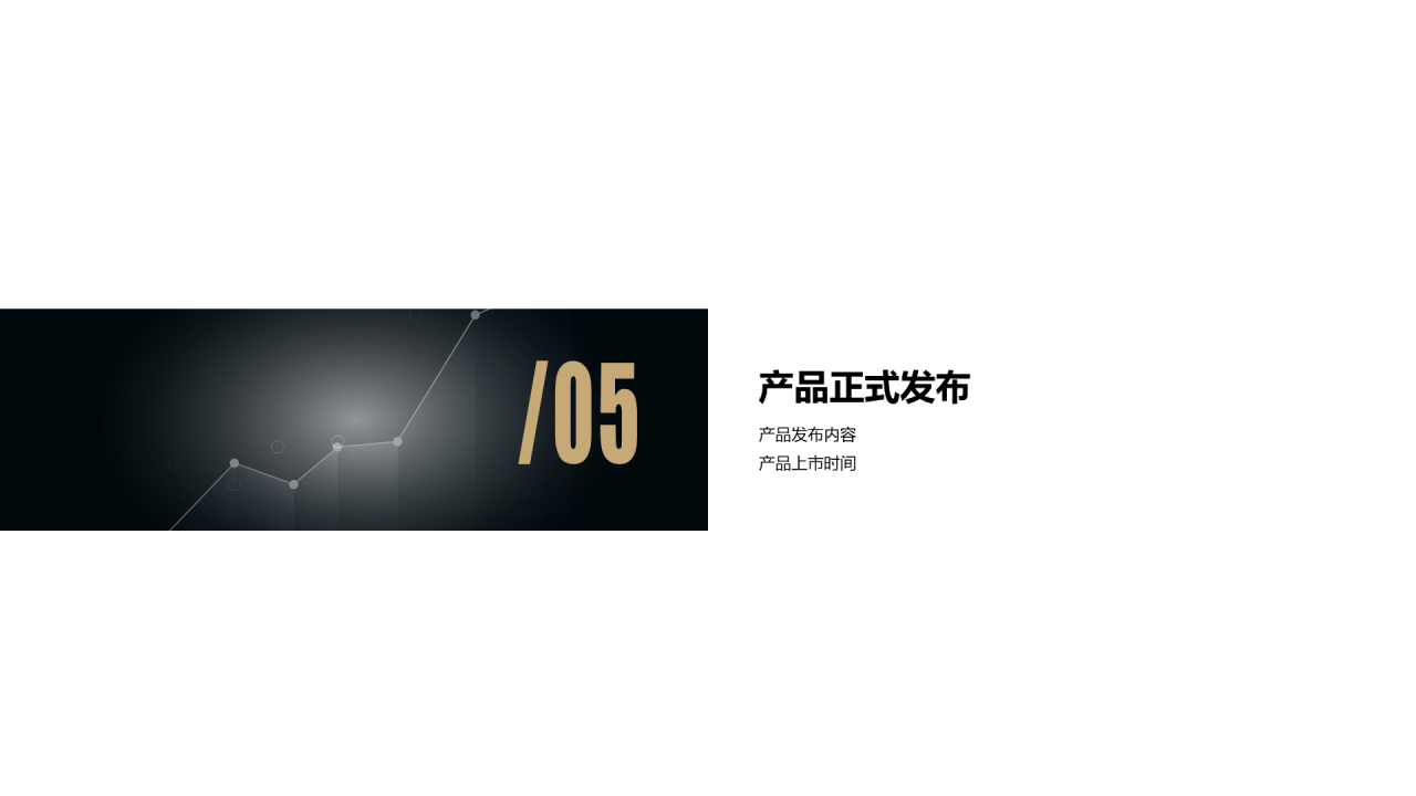 黑色简约商务工作总结PPT案例