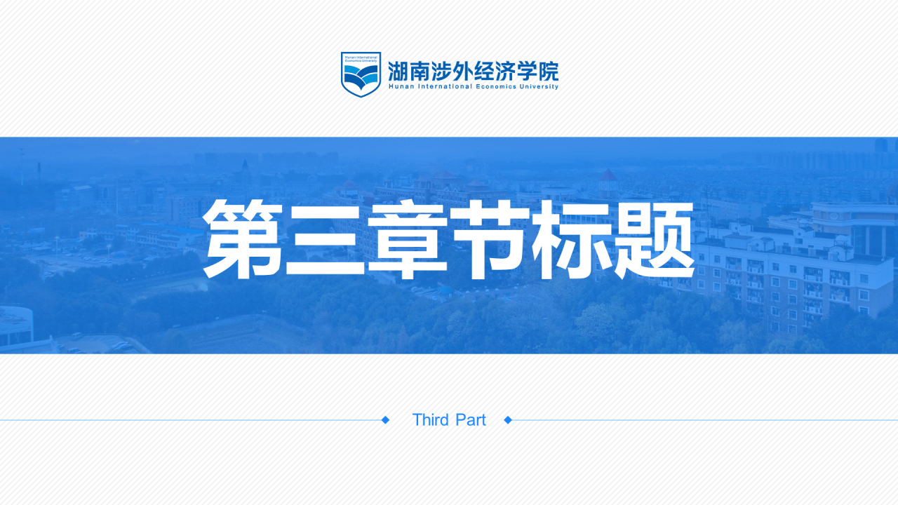 黑色商务湖南涉外经济学院毕业答辩汇报PPT素材