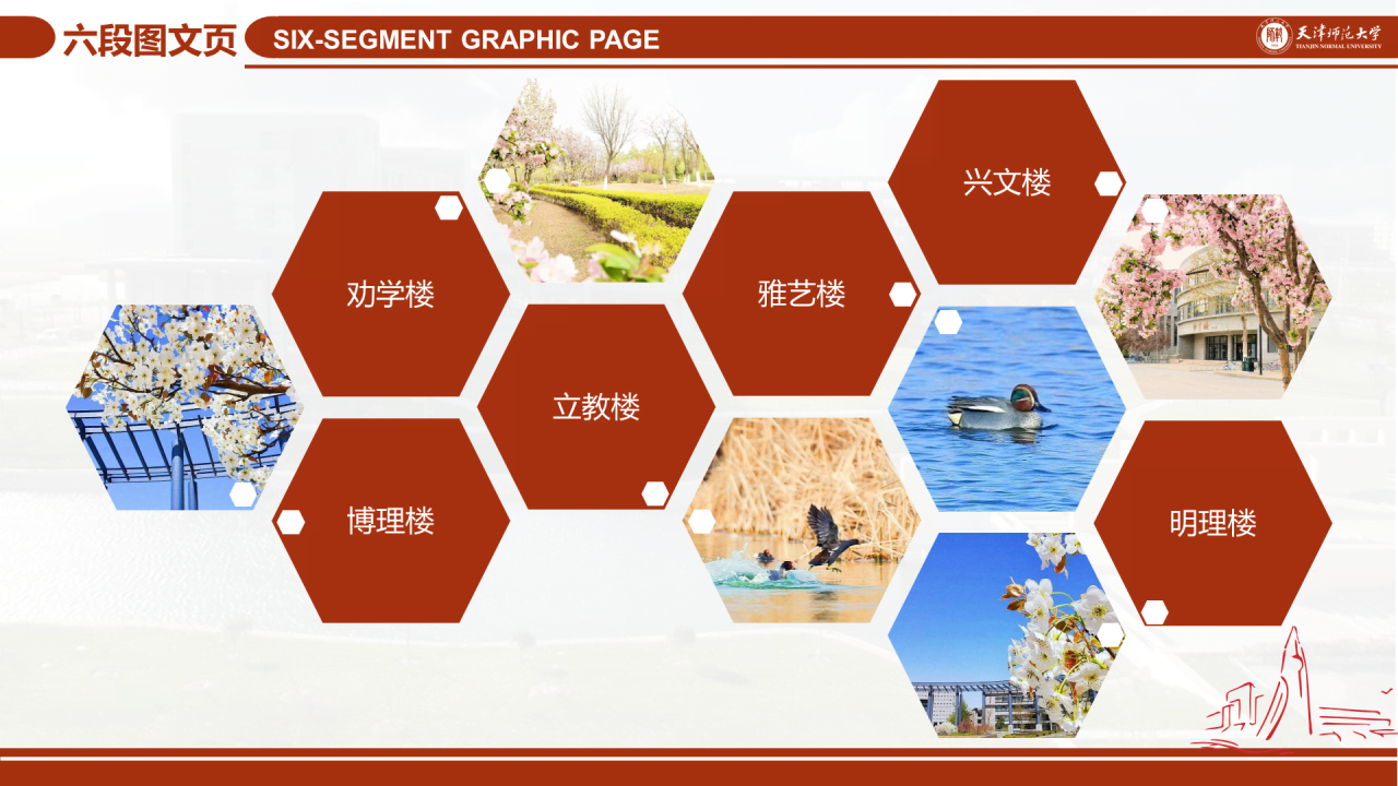 红色简约天津师范大学毕业答辩PPT模板