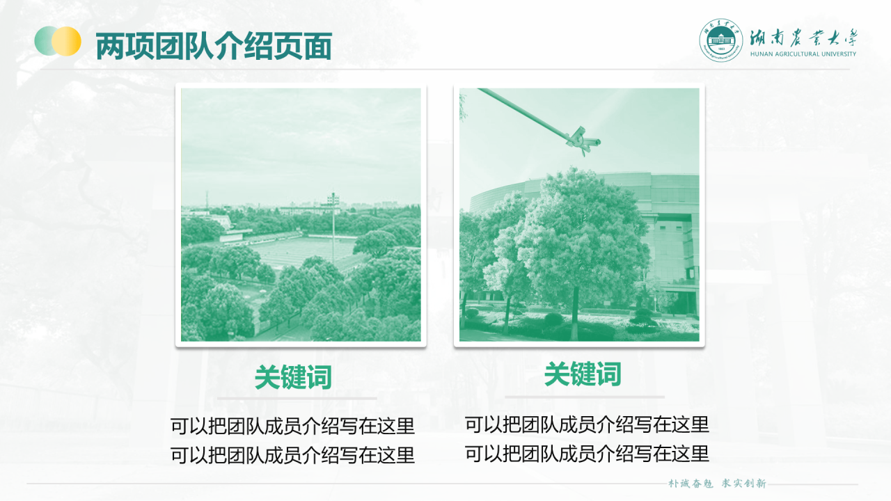 黑色商务湖南农业大学毕业论文答辩通用PPT模板