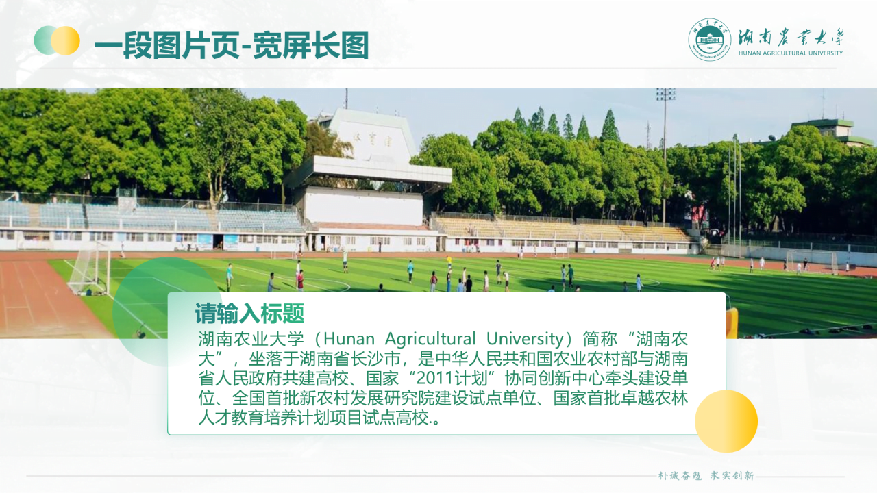 黑色商务湖南农业大学毕业论文答辩通用PPT模板