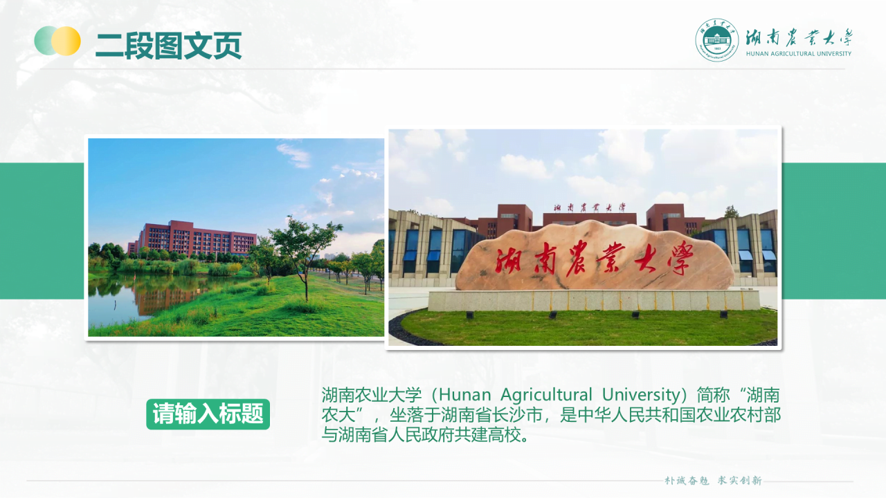 黑色商务湖南农业大学毕业论文答辩通用PPT模板
