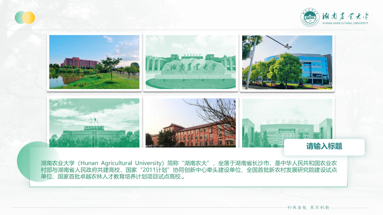 黑色商务湖南农业大学毕业论文答辩通用PPT模板
