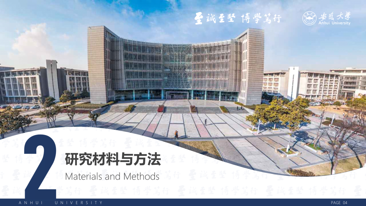 白色简洁安徽大学毕业生论文答辩PPT案例
