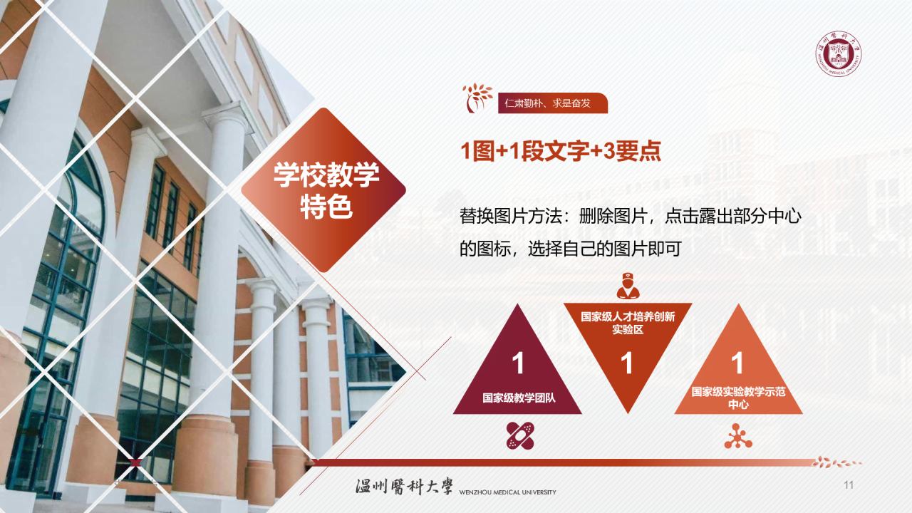 多色简约医科大学研究生毕业答辩PPT模板