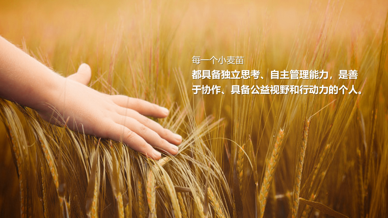 多色商务教育培训项目市场营销方案PPT模板