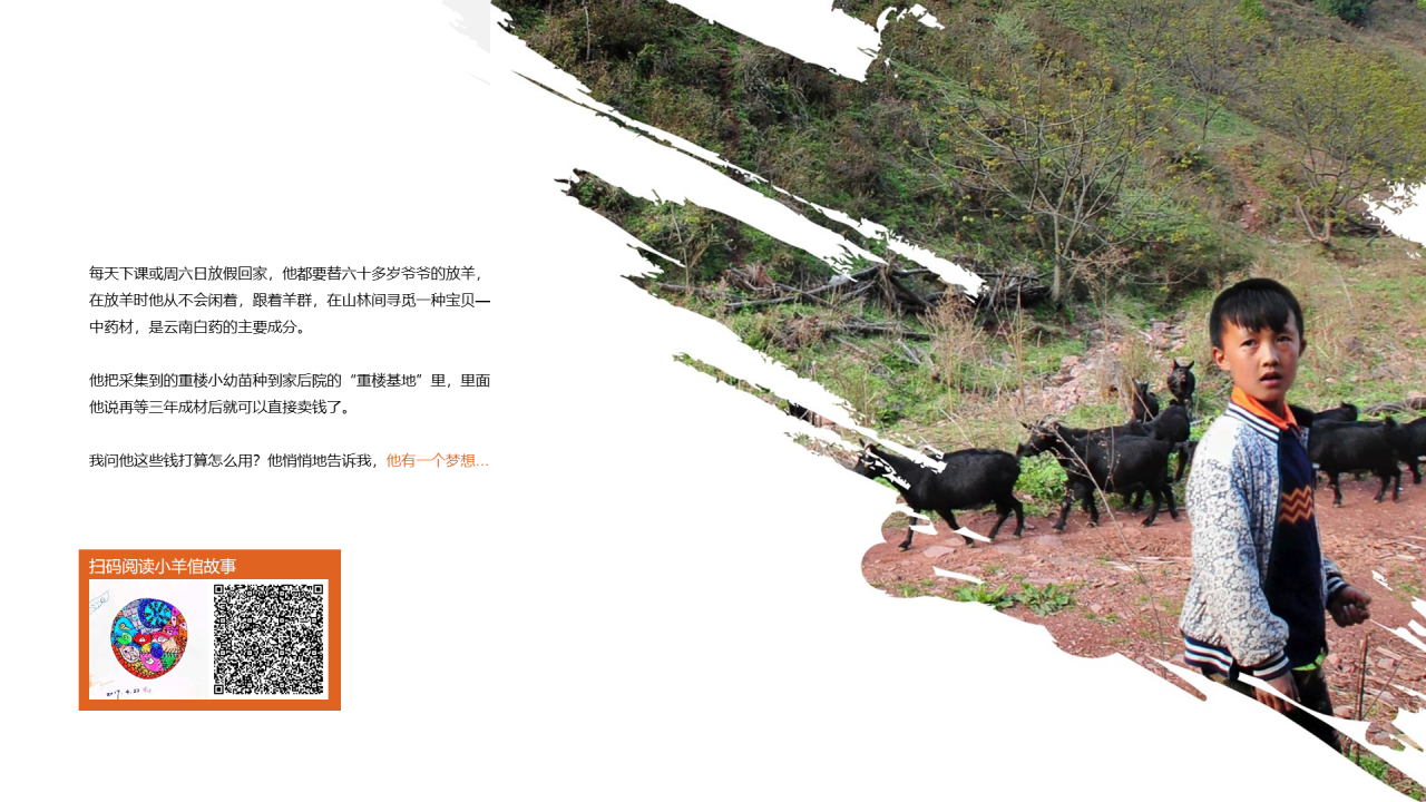 多色商务公益项目PPT模板介绍