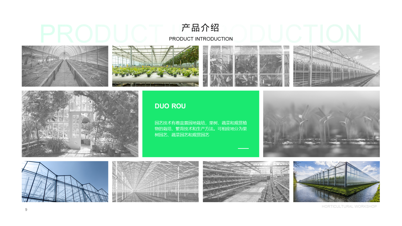 绿色创意绿植园艺工坊商业创业计划书PPT素材