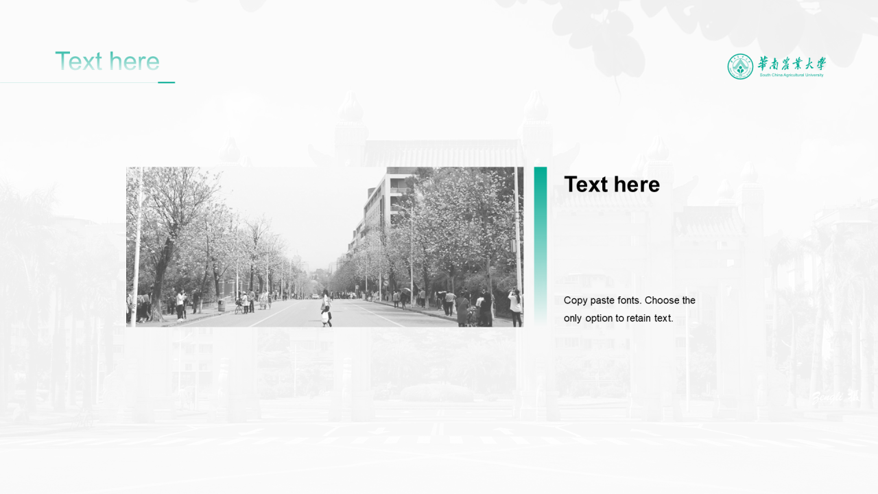 绿色简约华南农业大学文学系本科毕业答辩PPT下载
