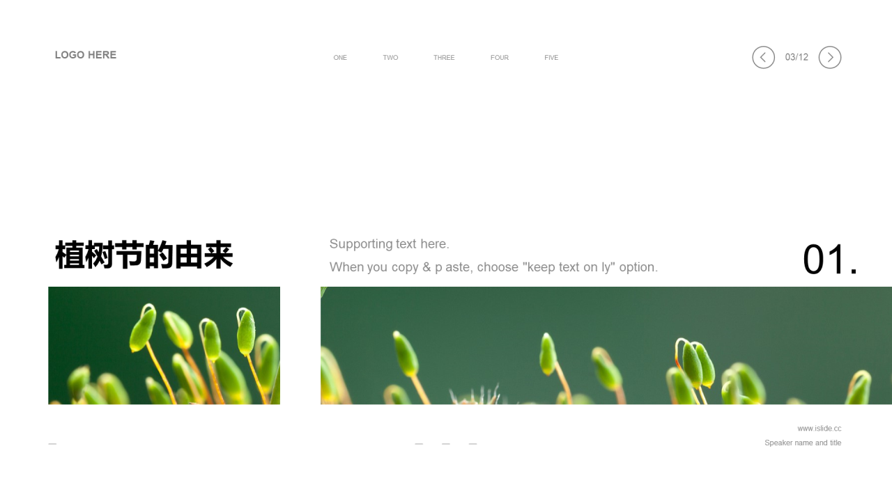 绿色植树节主题分享会PPT案例