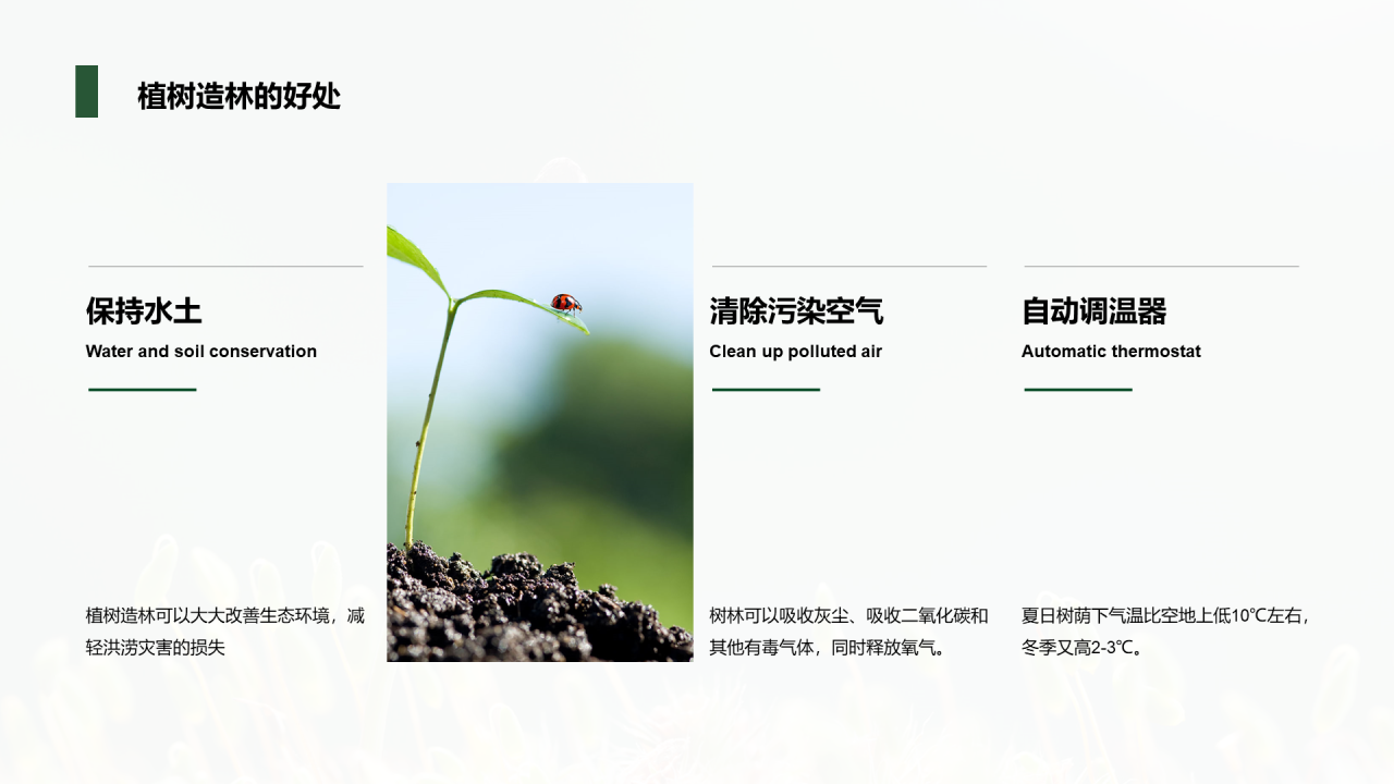 绿色植树节主题分享会PPT案例