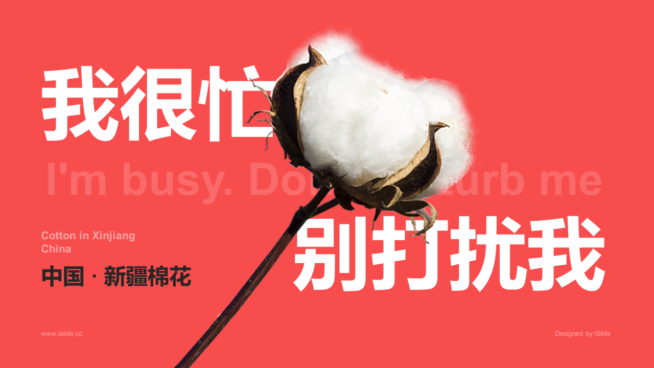 中国新疆棉花：我很忙，别打扰我