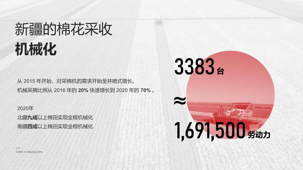 中国新疆棉花:我很忙,别打扰我