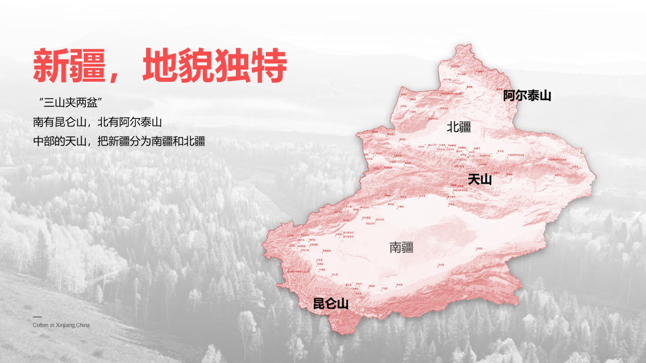 中国新疆棉花：我很忙，别打扰我