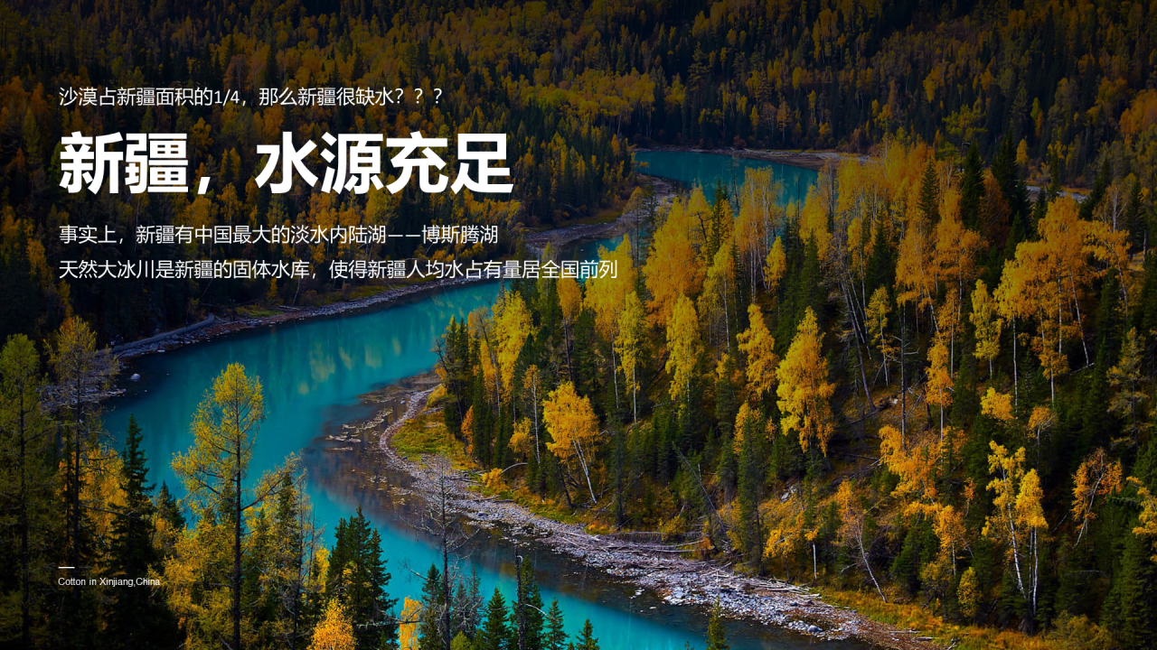 中国新疆棉花：我很忙，别打扰我