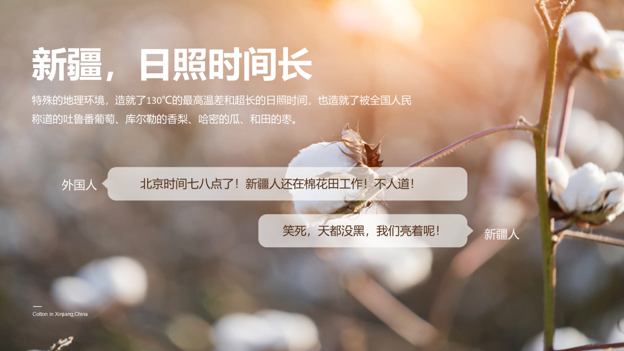 中国新疆棉花:我很忙,别打扰我
