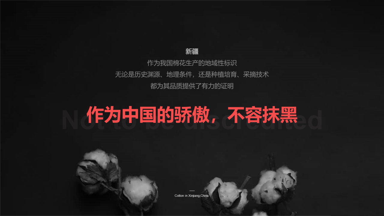 中国新疆棉花:我很忙,别打扰我