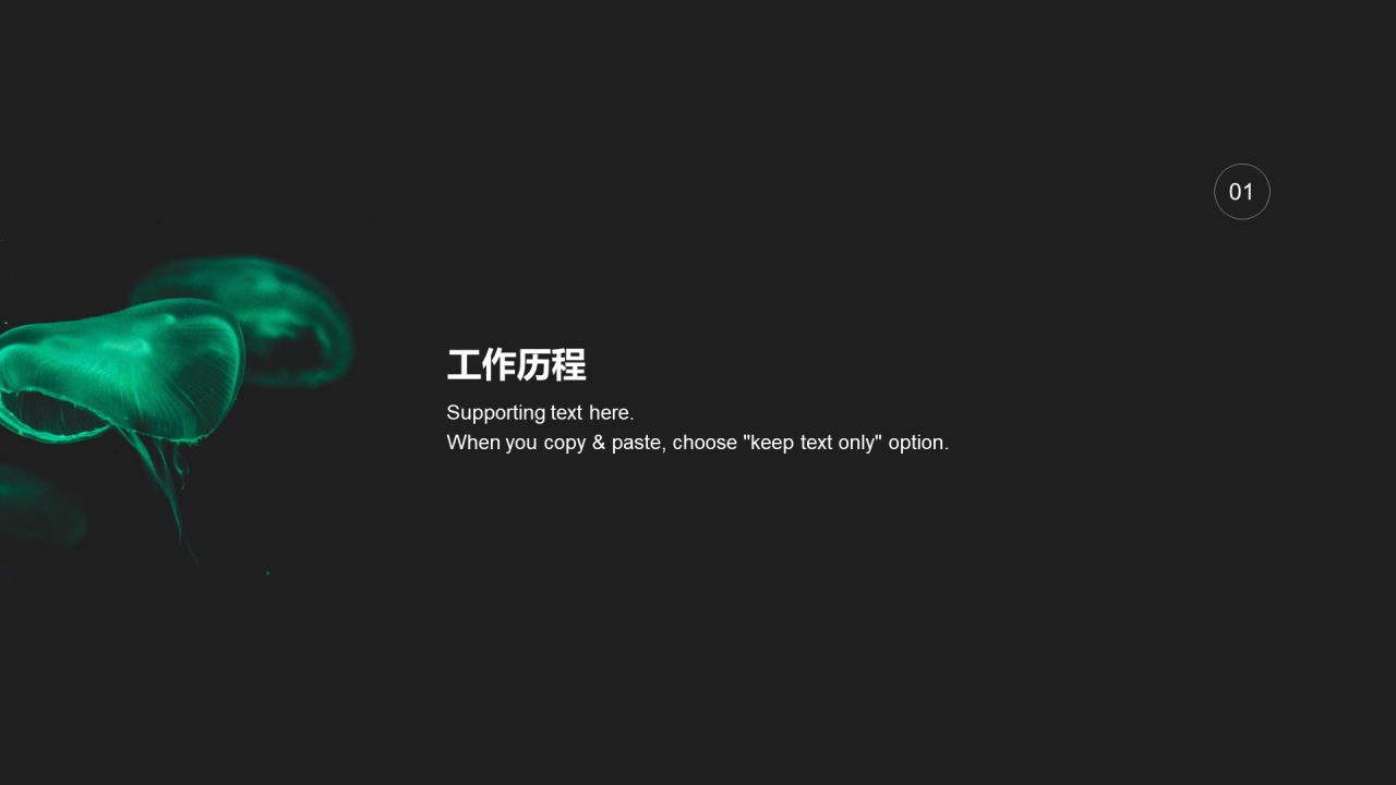 黑色商务风竞聘简历PPT案例