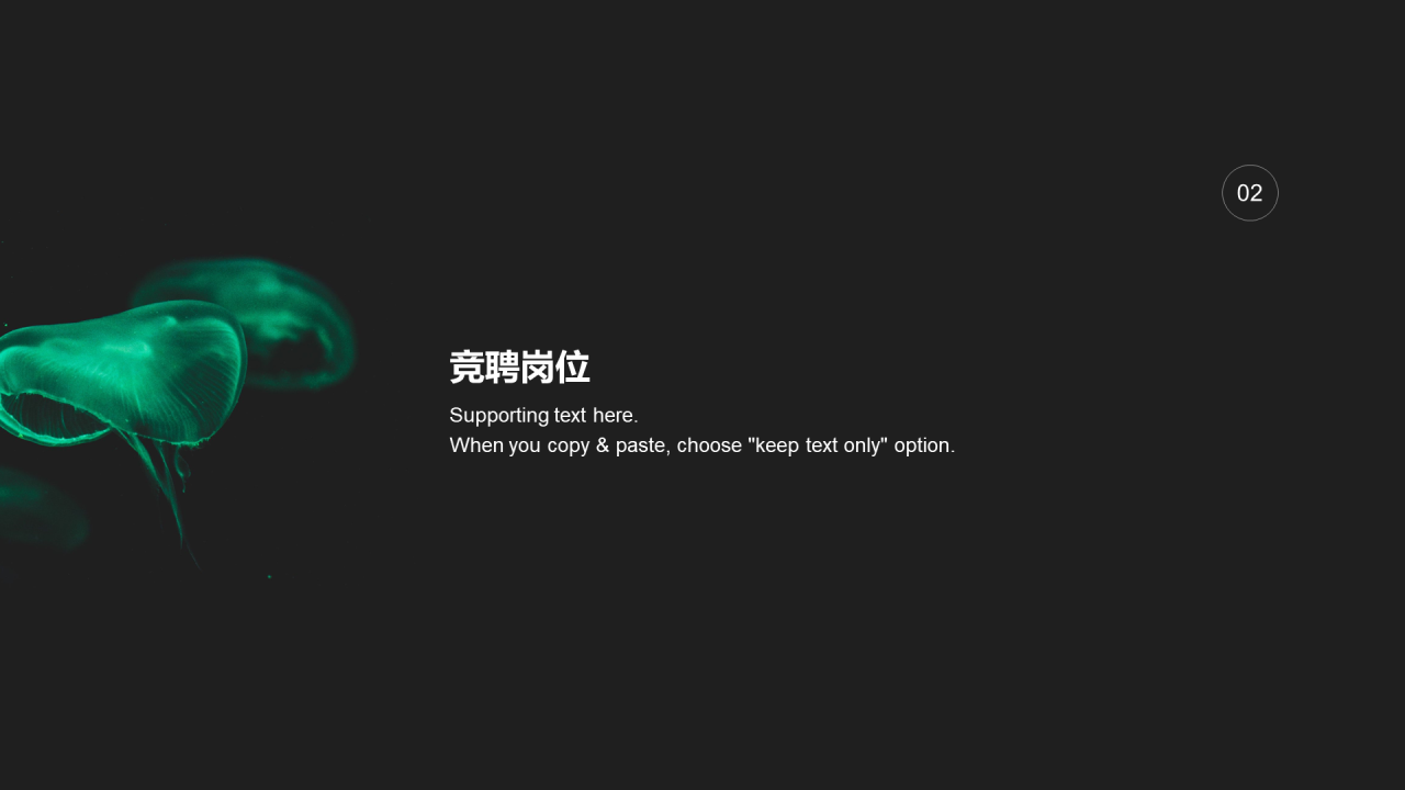 黑色商务风竞聘简历PPT案例