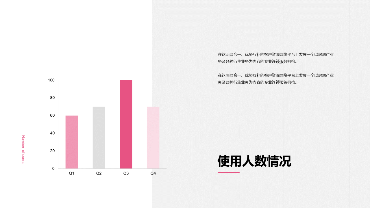 商业项目计划书PPT案例