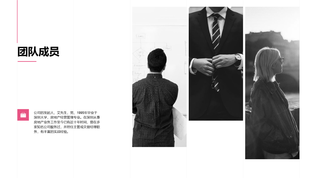 商业项目计划书PPT案例