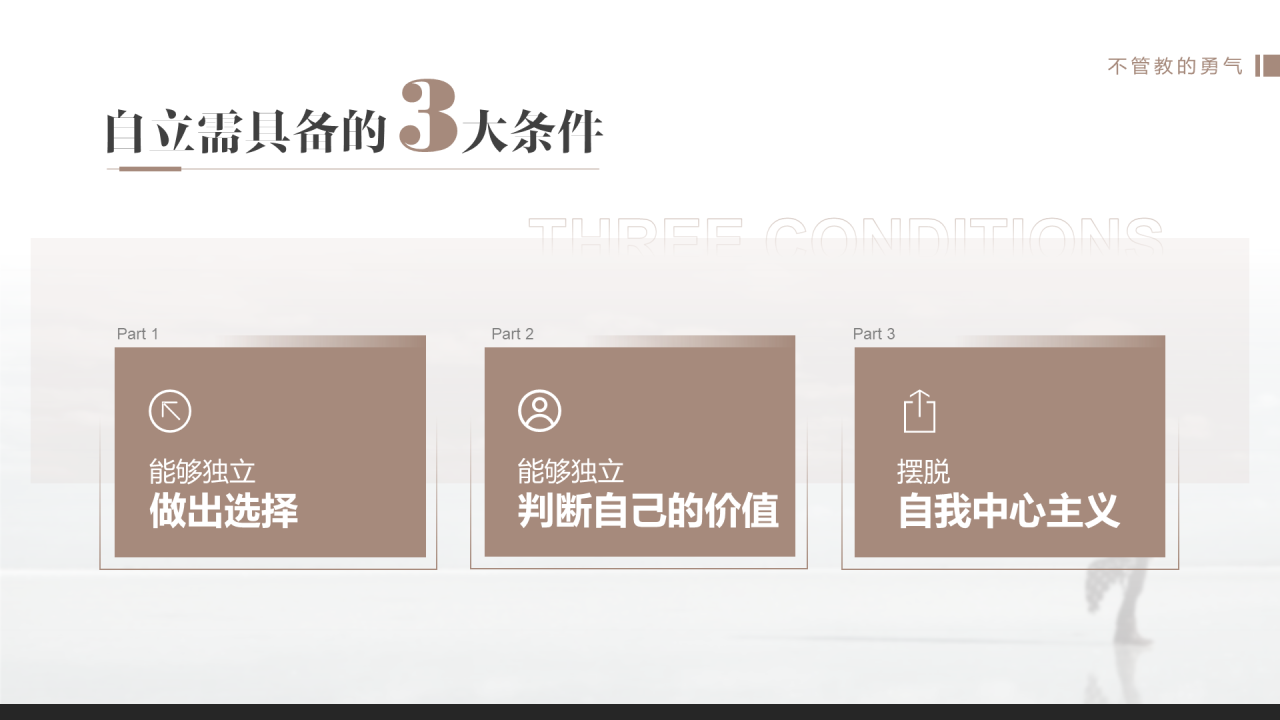 白色市场营销读书笔记分享PPT案例