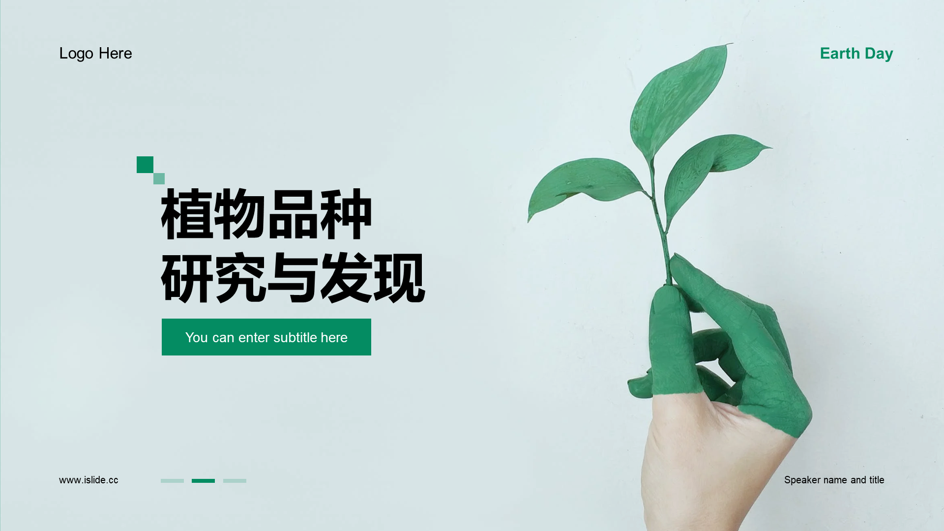 浅色简约植物品种研究与发现