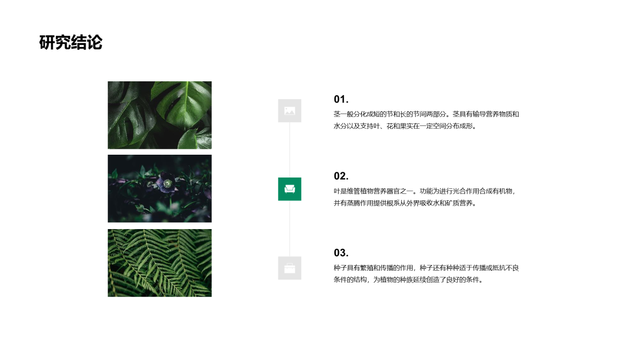 浅色简约植物品种研究与发现