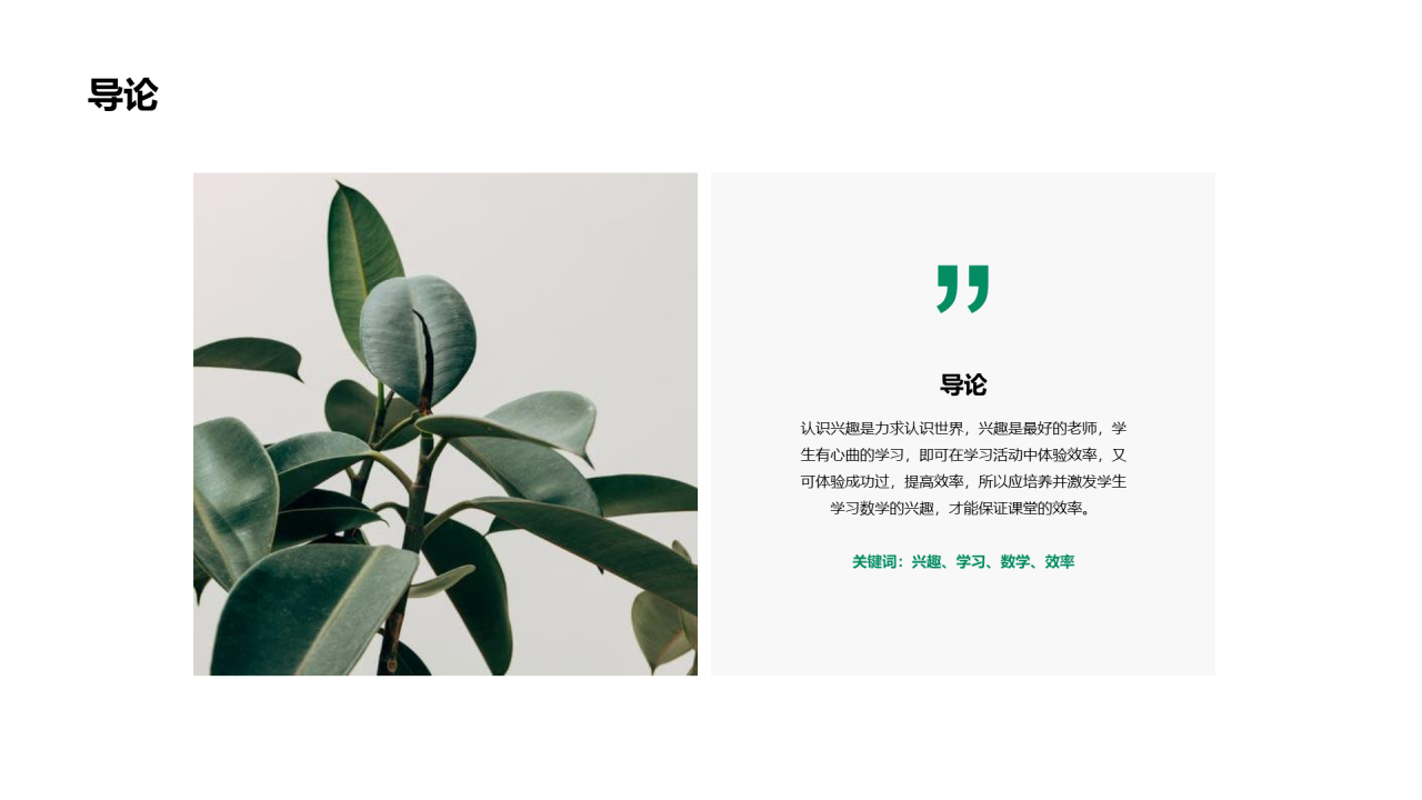 浅色简约植物品种研究与发现