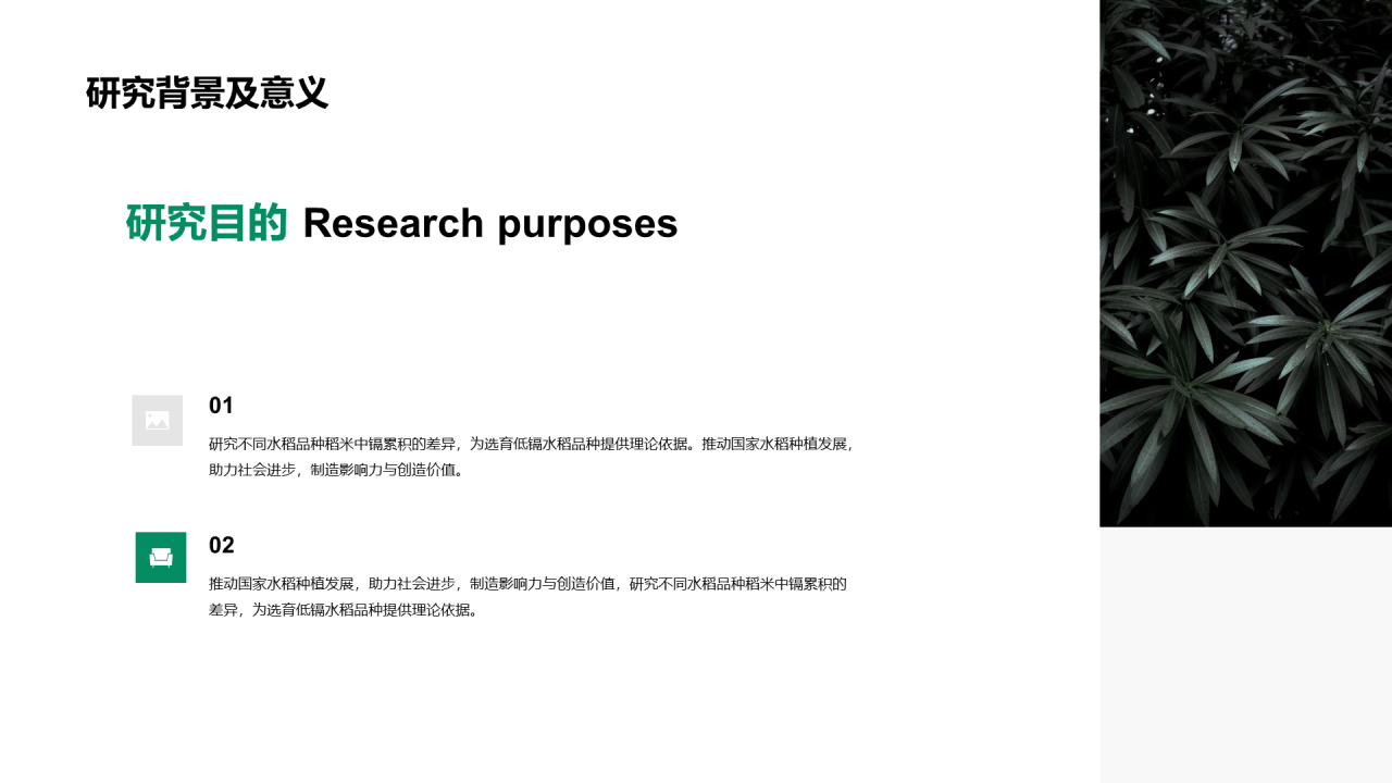 浅色简约植物品种研究与发现