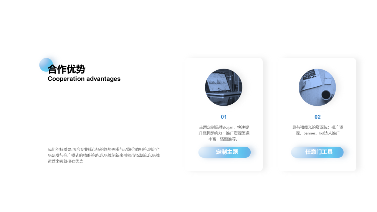 白色简约市场营销PPT案例