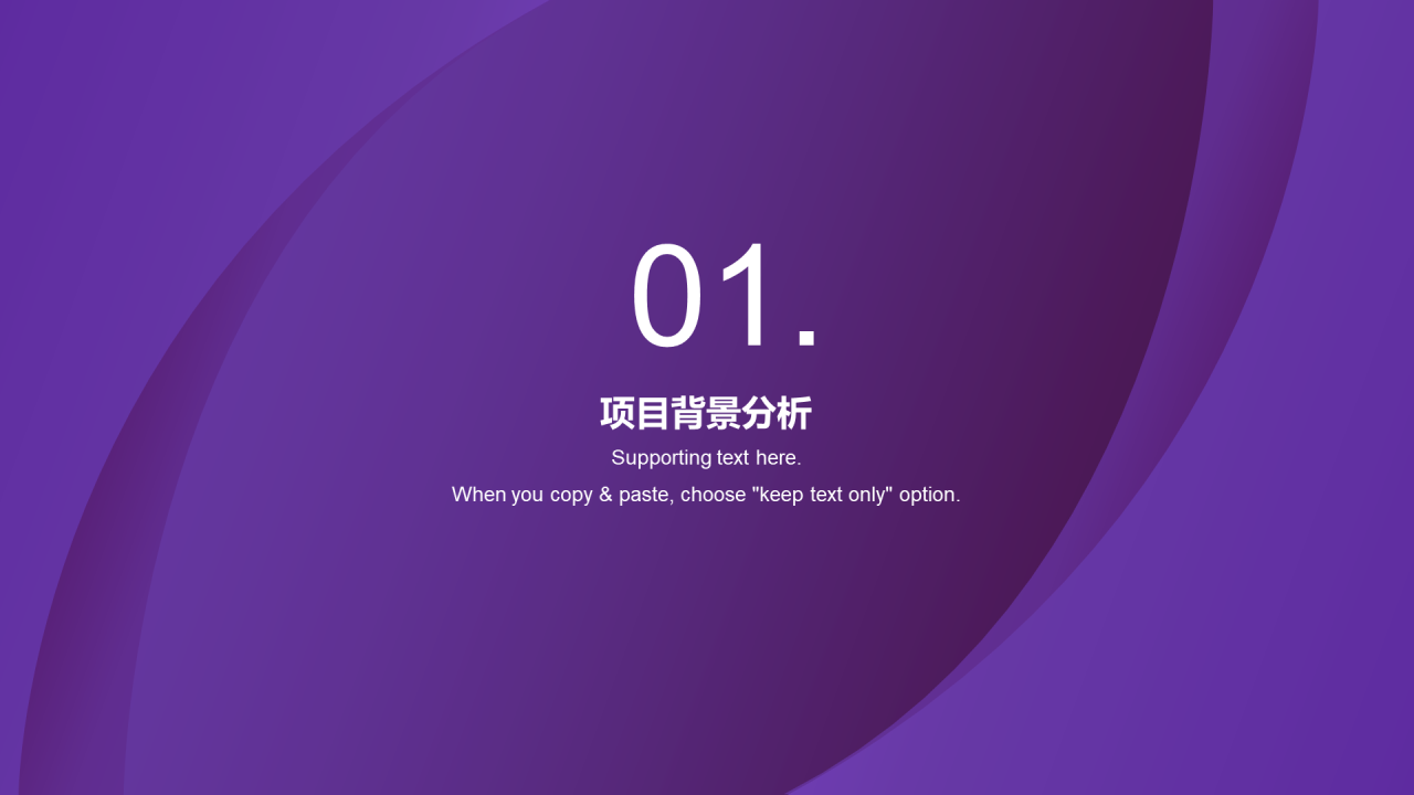 紫色简约商业计划书PPT案例