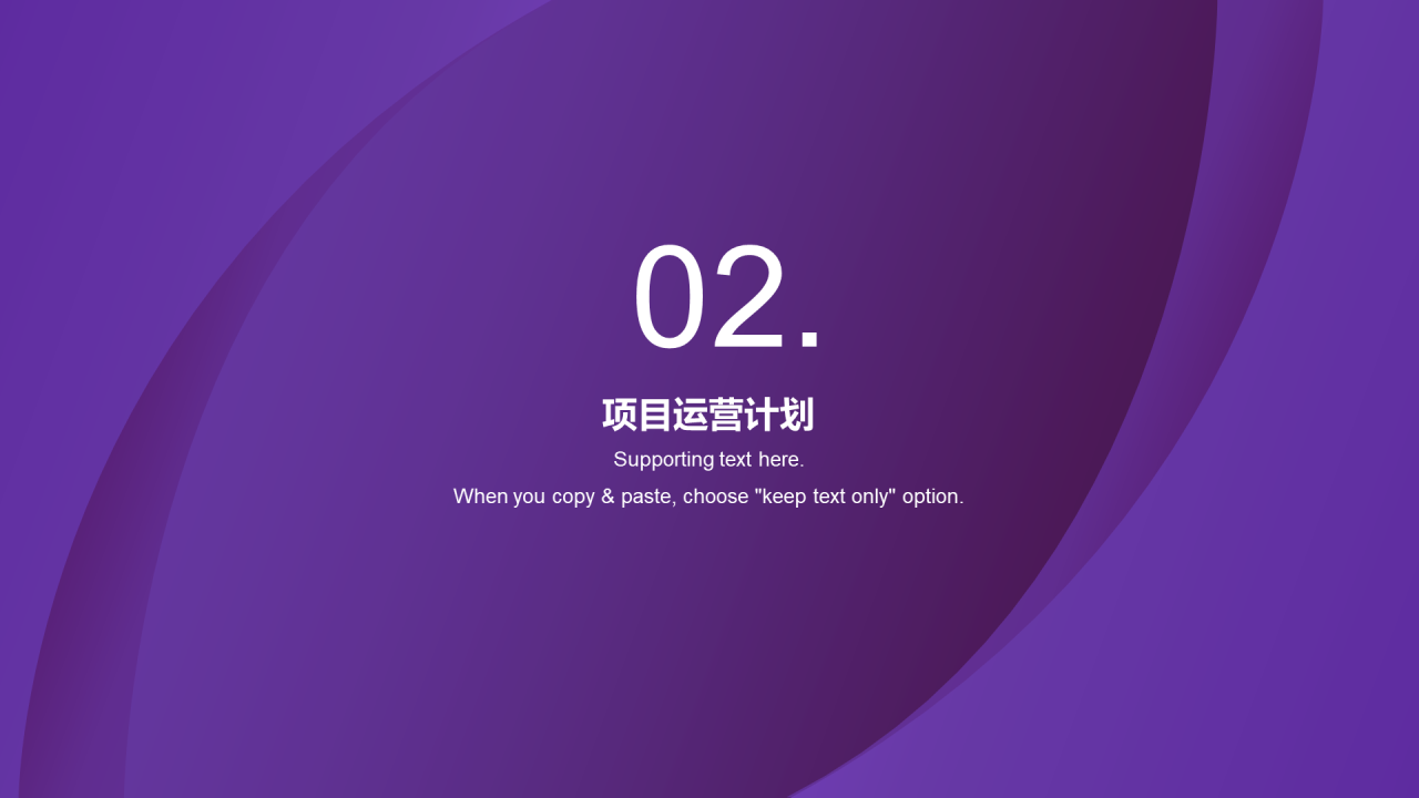 紫色简约商业计划书PPT案例