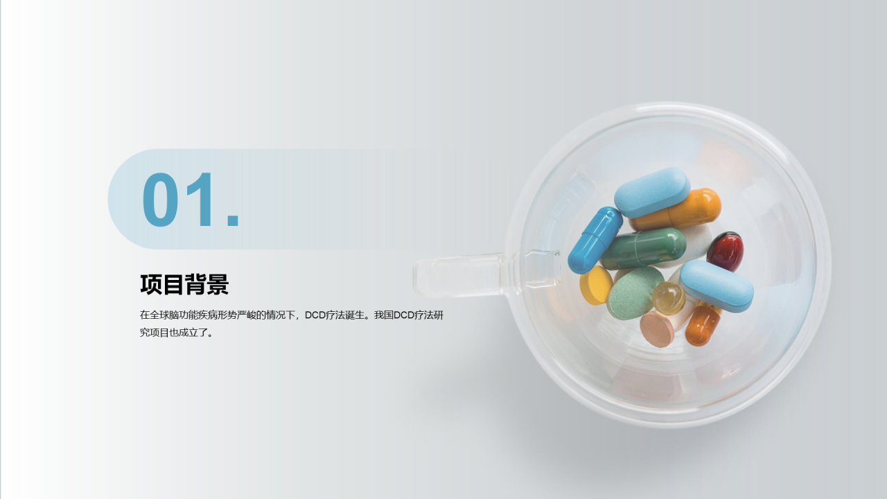 灰色简约医药研究项目汇报PPT案例