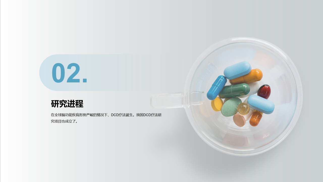灰色简约医药研究项目汇报PPT案例