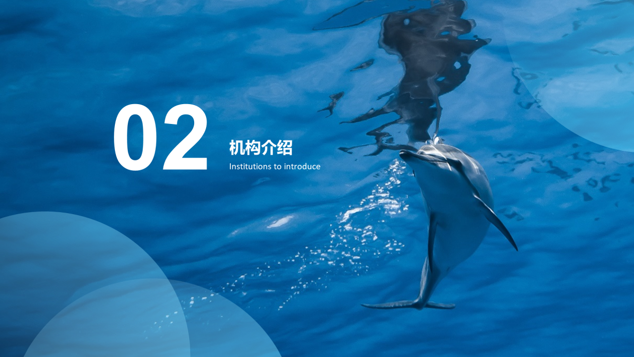 蓝色简约海洋保护PPT案例