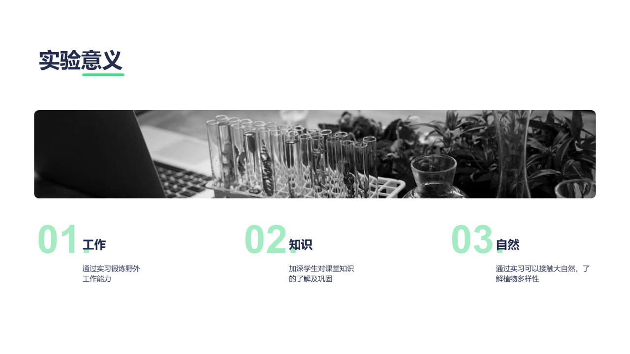 绿色创意植物标本制作实验报告PPT案例